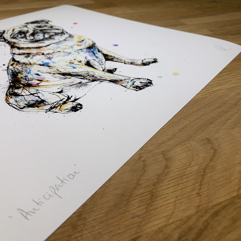 Anticipation - Pug Print with Size and Presentation Options