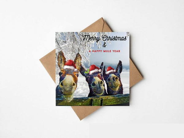 Merry Christmas & A Happy Mule Year – Ireland – The Greeting Card