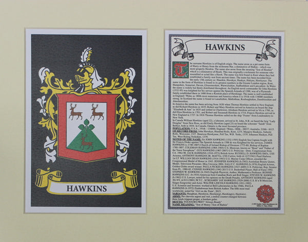 Hawkins - Irish American Surname Coat of Arms Heraldry