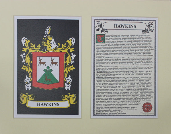 Hawkins - Irish American Surname Heraldry