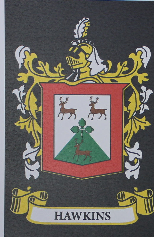 Hawkins - Irish Surname Coat of Arms Family Crest Heraldry