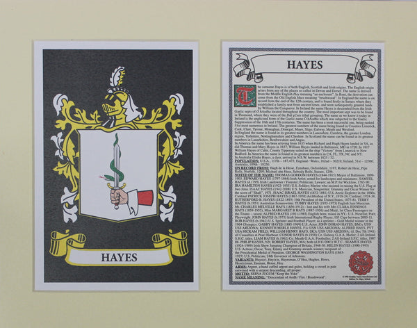Hayes - Irish American Surname Heraldry