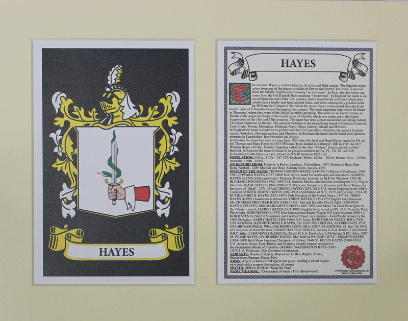 Hayes - Irish American Surname Coat of Arms Family Crest Heraldry