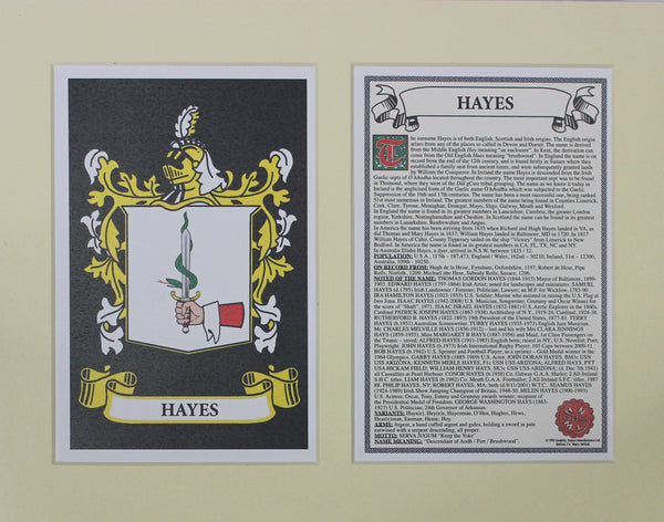 Hayes - Irish Surname Coat of Arms Family Crest Heraldry