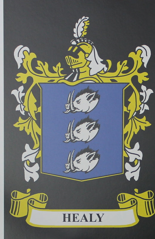 Healy - Irish Surname Coat of Arms Family Crest Heraldry