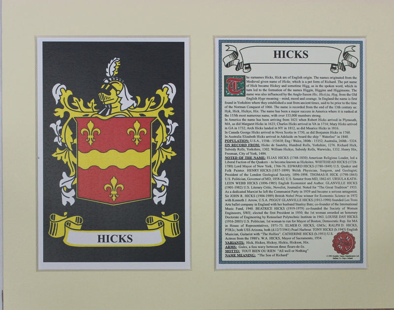 Hicks - Irish Surname Coat of Arms Family Crest Heraldry