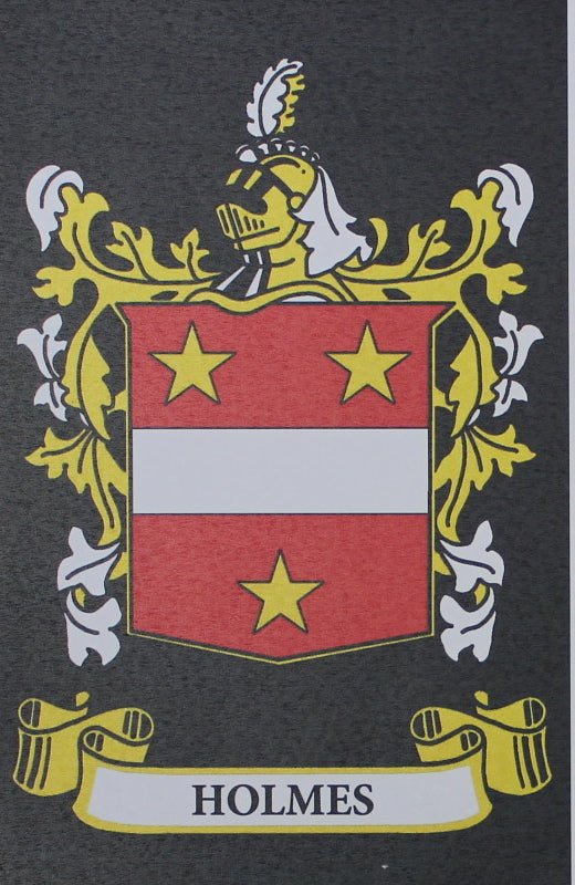 Holmes - Irish American Surname Heraldry