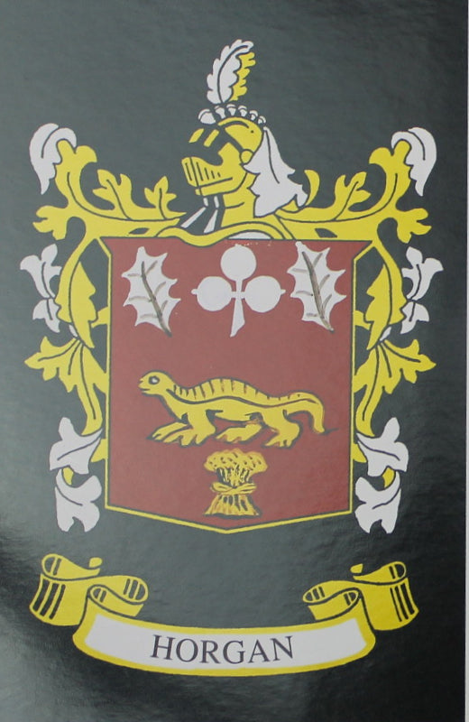 Horgan - Irish American Surname Heraldry