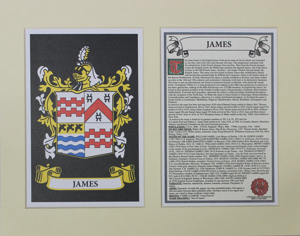 James - Irish American Surname Coat of Arms Family Crest Heraldry