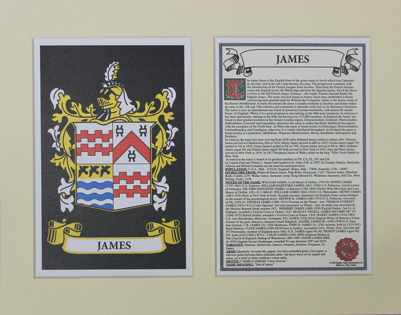 James - Irish American Surname Heraldry