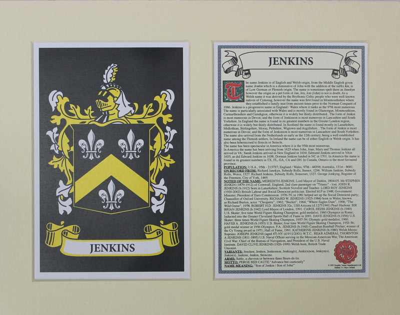 Jenkins - Irish Surname Coat of Arms Family Crest Heraldry