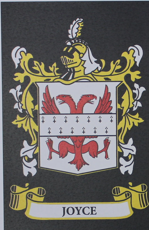 Joyce - Irish American Surname Heraldry