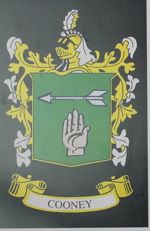 Cooney - Irish American Surname Heraldry