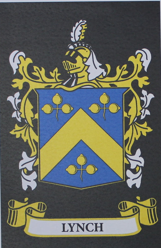 Lynch - Irish American Surname Heraldry