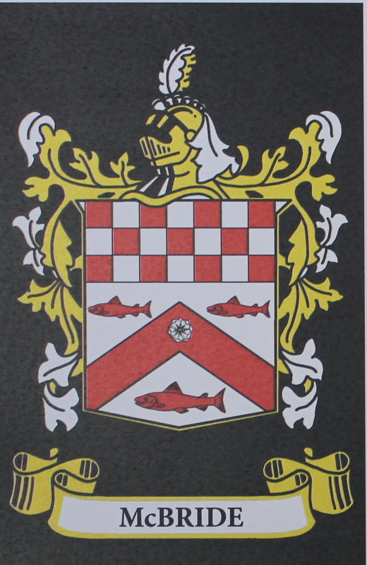 McBride - Irish American Surname Heraldry