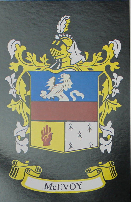 McEvoy - Irish American Surname Heraldry