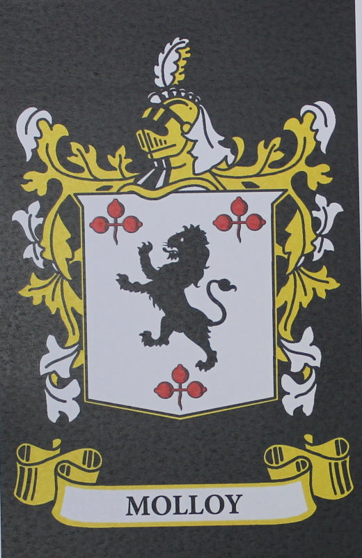 Molloy - Irish American Surname Heraldry