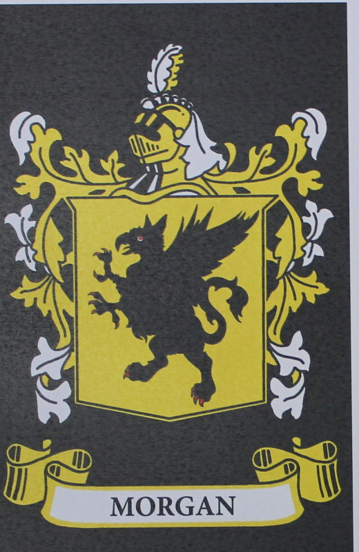 Morgan - Irish American Surname Heraldry