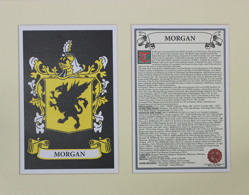 Morgan - Irish American Surname Heraldry