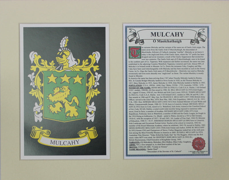 Mulcahy - Irish American Surname Heraldry