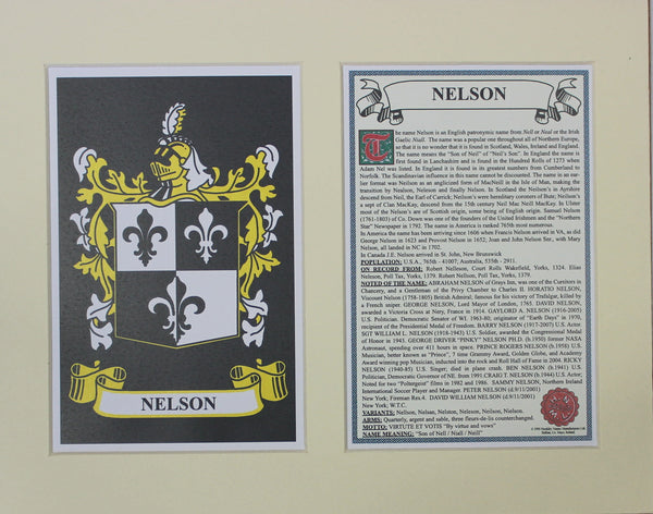 Nelson - Irish American Surname Heraldry