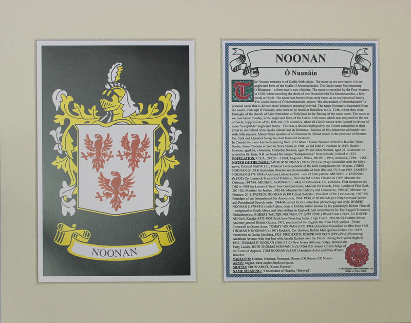 Noonan - Irish American Surname Heraldry