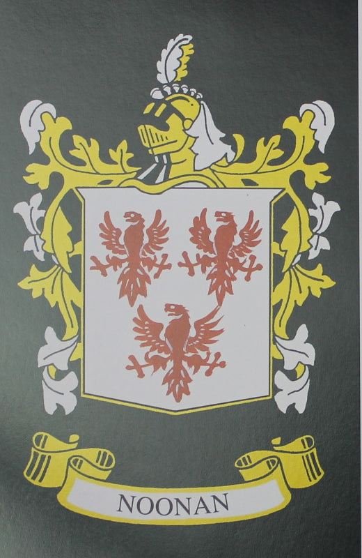 Noonan - Irish American Surname Heraldry