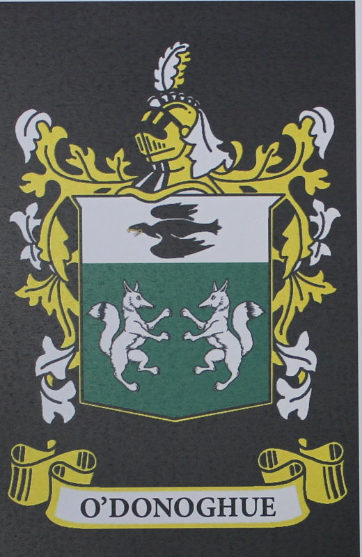 O’Donoghue - Irish American Surname Heraldry