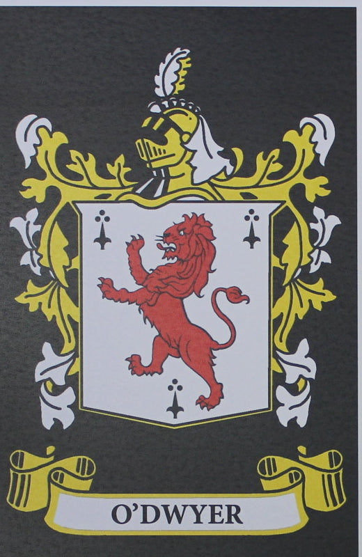 O’Dwyer - Irish Surname Coat of Arms Family Crest Heraldry