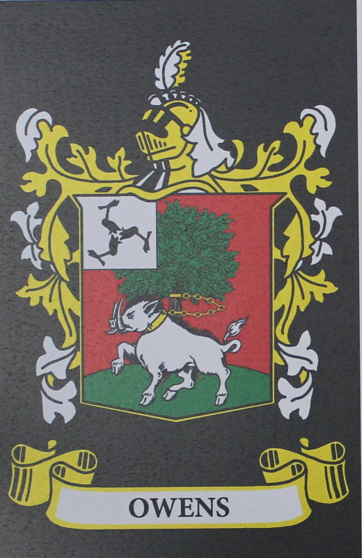 Owens - Irish American Surname Heraldry