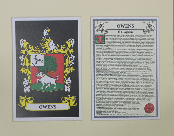 Owens - Irish Surname Heraldry