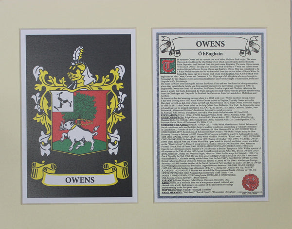 Owens - Irish American Surname Coat of Arms Family Crest Heraldry