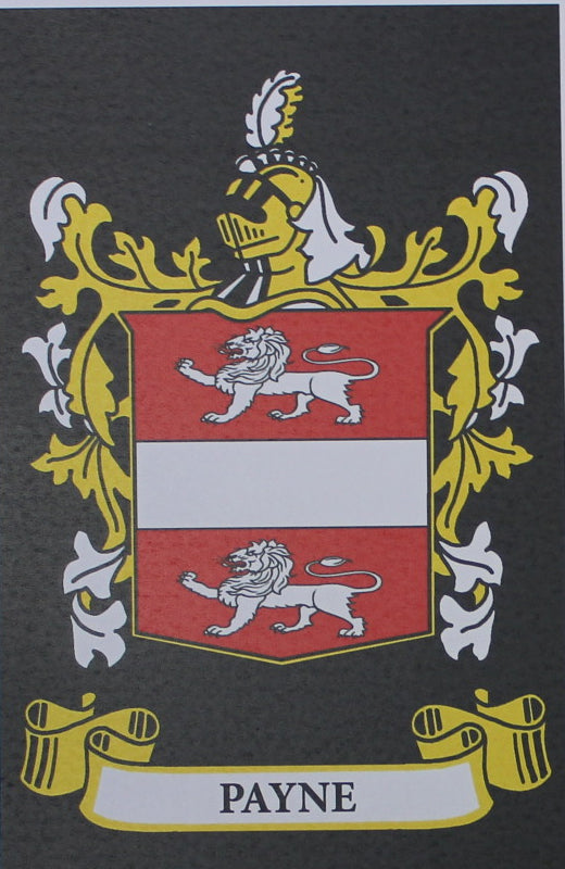 Payne - Irish Surname Coat of Arms Family Crest Heraldry