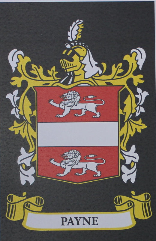 Payne - Irish American Surname Coat of Arms Heraldry
