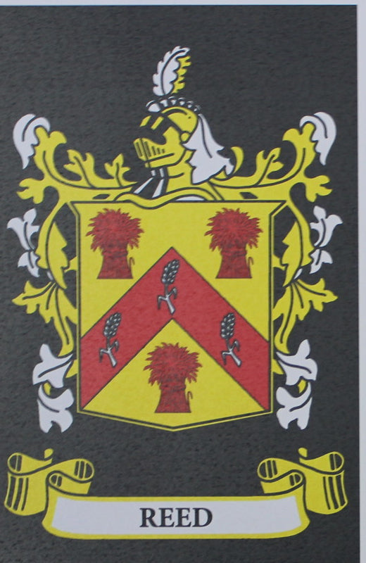 Reed - Irish American Surname Heraldry