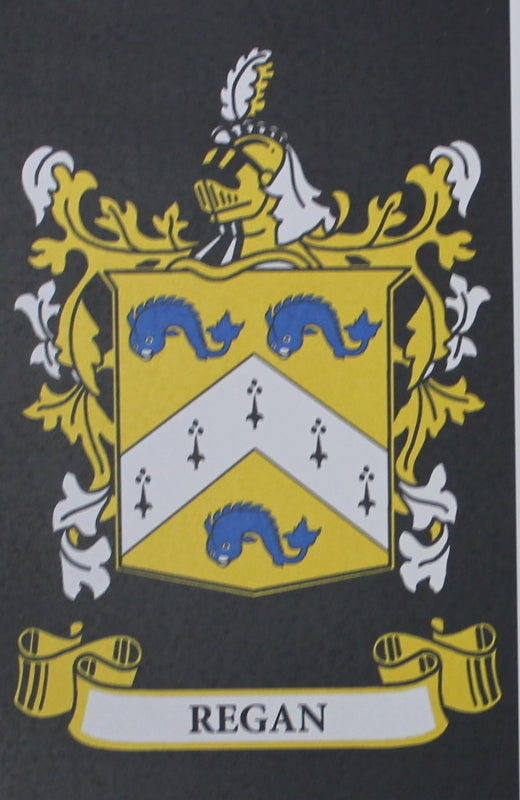 Regan - Irish American Surname Heraldry