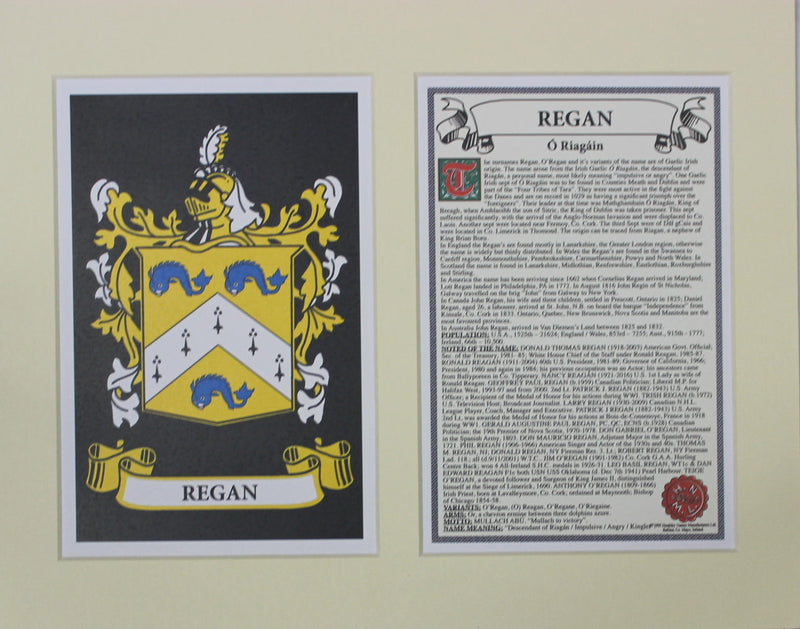 Regan - Irish American Surname Heraldry