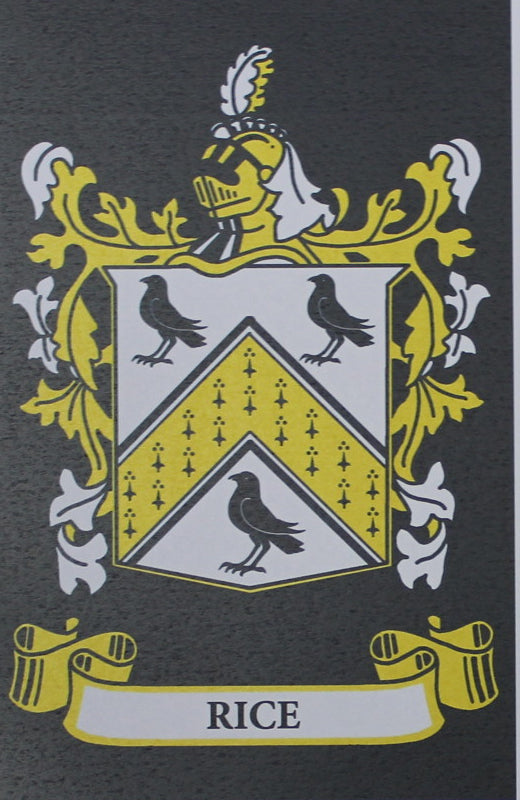 Rice - Irish Surname Coat of Arms Family Crest Heraldry