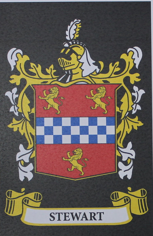 Stewart - Irish American Surname Heraldry