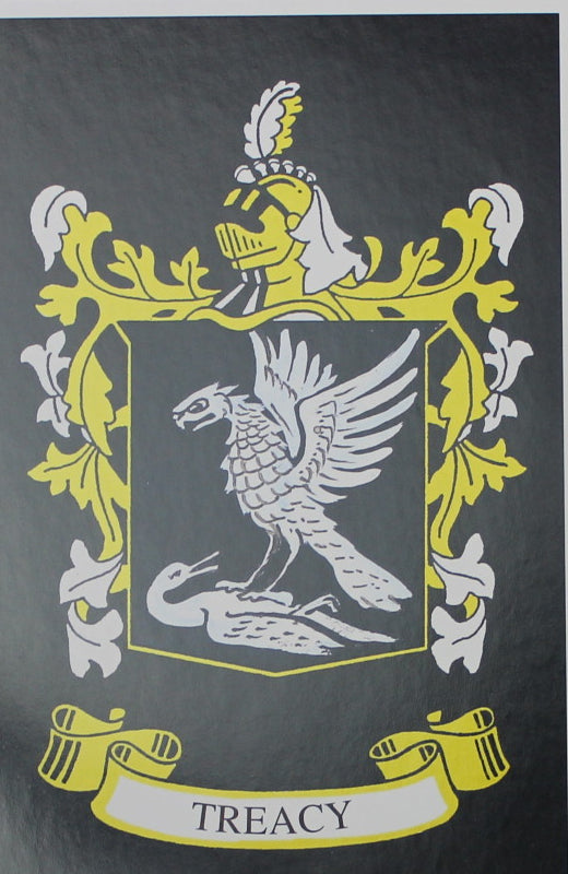 Treacy - Irish Surname Coat of Arms Family Crest Heraldry