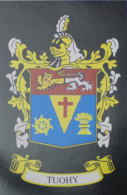 Tuohy - Irish Surname Coat of Arms Heraldry