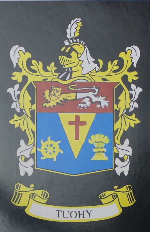 Tuohy - Irish Surname Coat of Arms Family Crest Heraldry