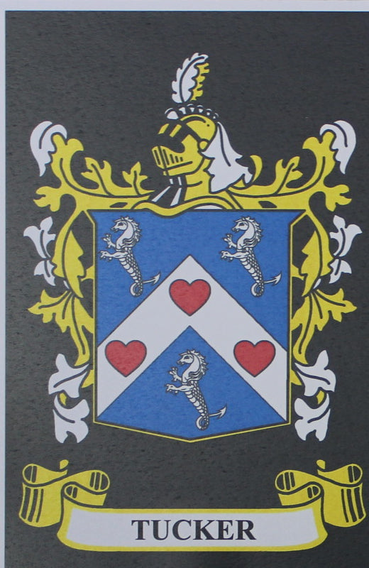 Tucker - Irish American Surname Heraldry