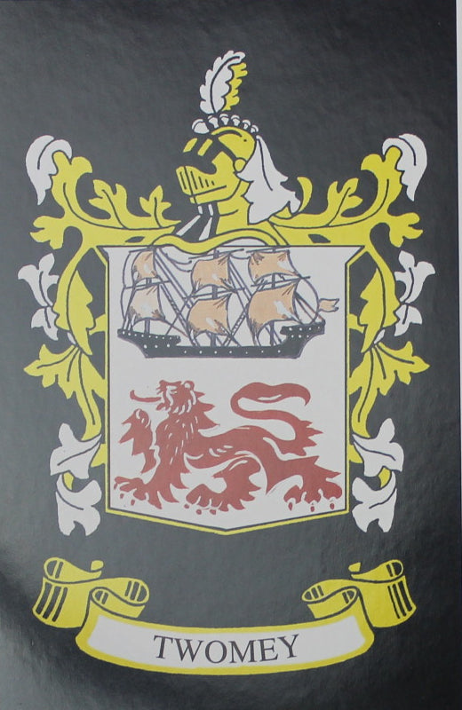 Twomey - Irish American Surname Heraldry