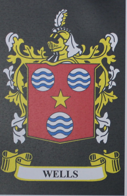 Wells - Irish Surname Heraldry