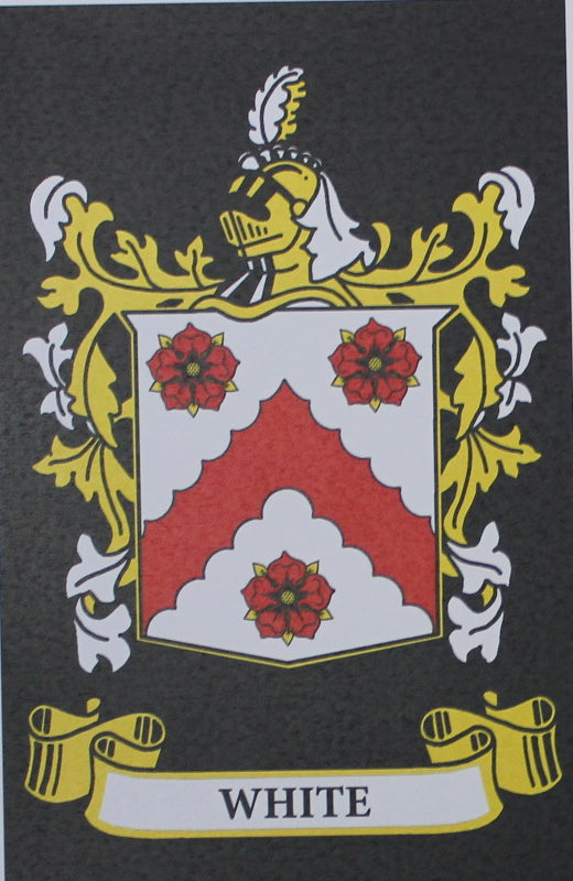 White - Irish American Surname Heraldry