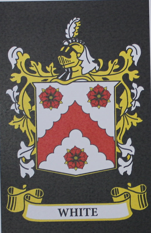 White - Irish Surname Heraldry