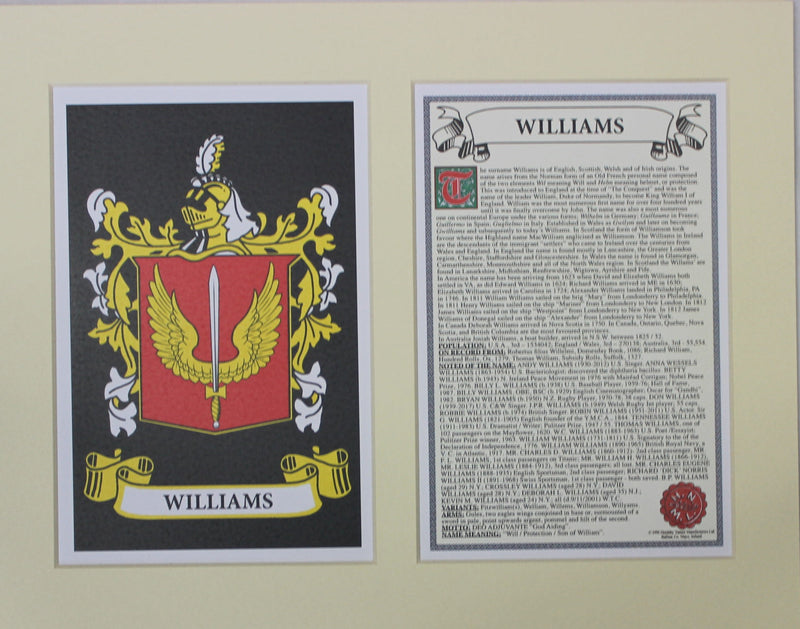 Williams - Irish American Surname Heraldry