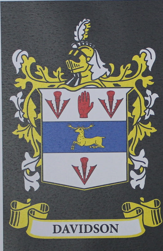 Davidson - Irish American Surname Heraldry