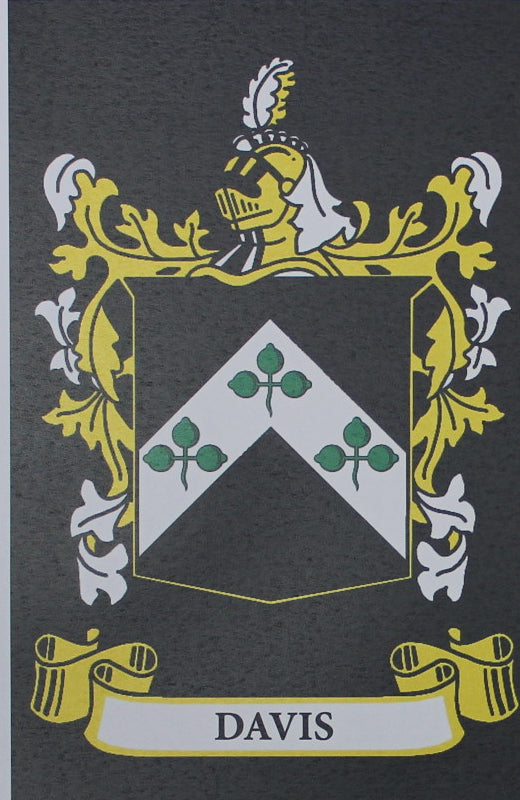 Davis - Irish American Surname Heraldry